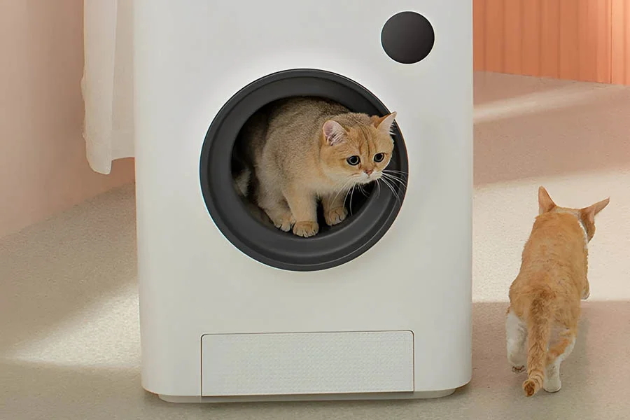 best self cleaning cat litter boxes