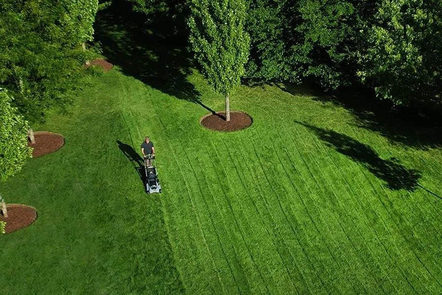 electric powered lawn mower