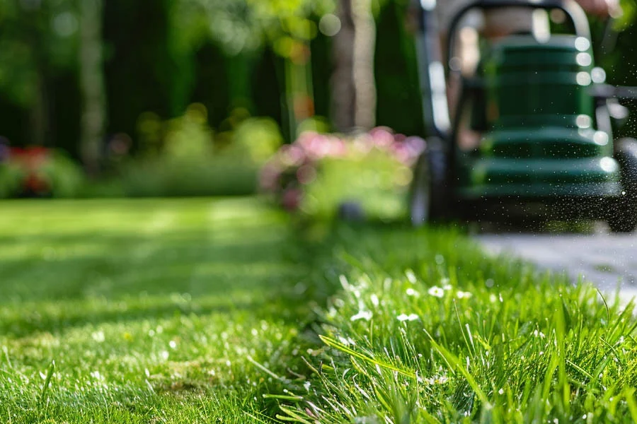 electronic mower