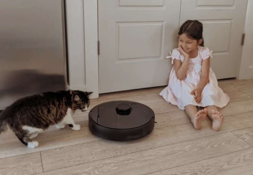 robot vacuum and cleaner